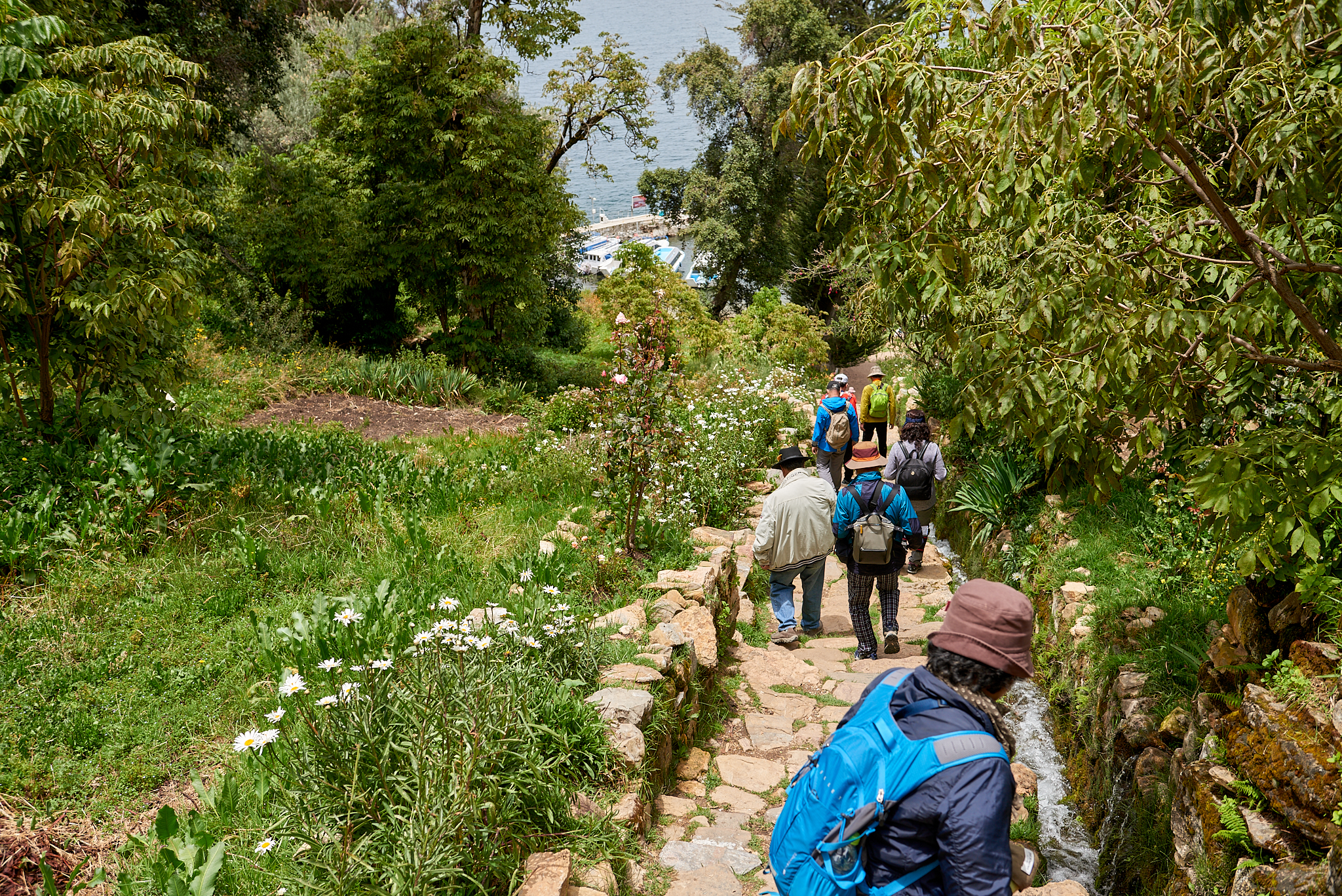 20200310 049 [볼리비아] 티티카카호수